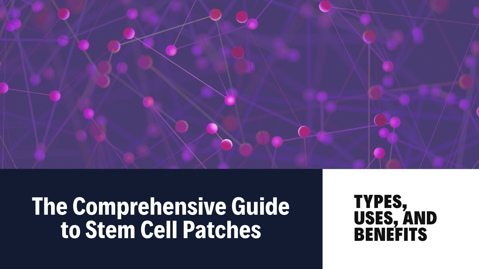 Stem Cell Patches